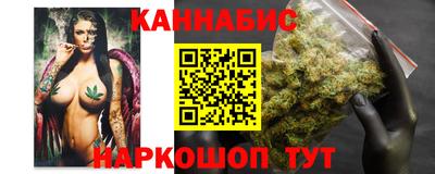 spice Кингисепп